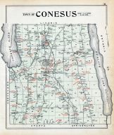 Conesus Town, Livingston County 1902